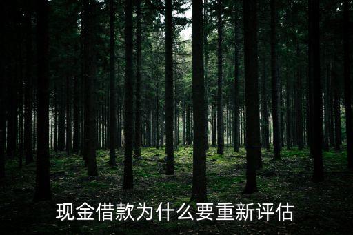 現(xiàn)金借款為什么審核，在金融苑申請(qǐng)了中郵的現(xiàn)金分期提示審核中是什么原因
