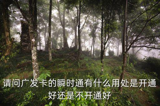 請(qǐng)問(wèn)廣發(fā)卡的瞬時(shí)通有什么用處是開(kāi)通好還是不開(kāi)通好