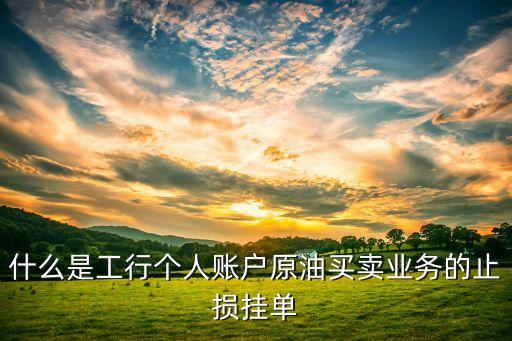 什么是止損掛單，什么是工行外匯買賣止損掛單