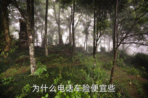 為什么電話車險(xiǎn)便宜，不看你后悔電話車險(xiǎn)為什么那么便宜