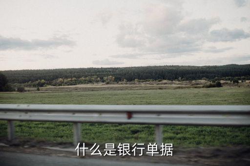 銀行單據(jù)什么樣，銀行支付利息的單據(jù)是什么樣子