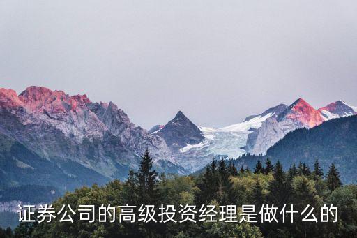 什么是投資經(jīng)理，什么叫投資經(jīng)理