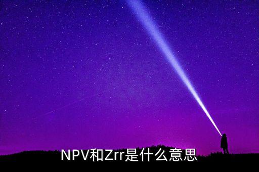 NPV和Zrr是什么意思