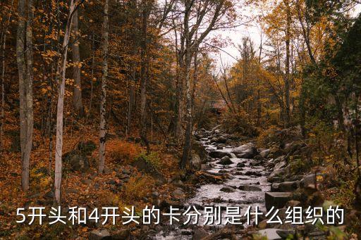 請問4開頭是銀行什么卡，工商銀行4開頭的卡號是那個地方的