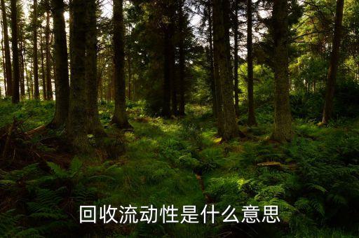 回收流動性是什么意思