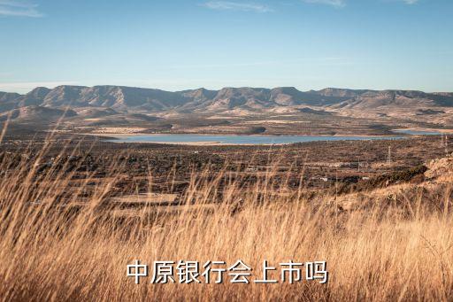 中原銀行什么時候上市，中原銀行會上市嗎