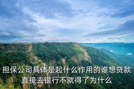 擔(dān)保公司具體是起什么作用的誰想貸款直接去銀行不就得了為什么
