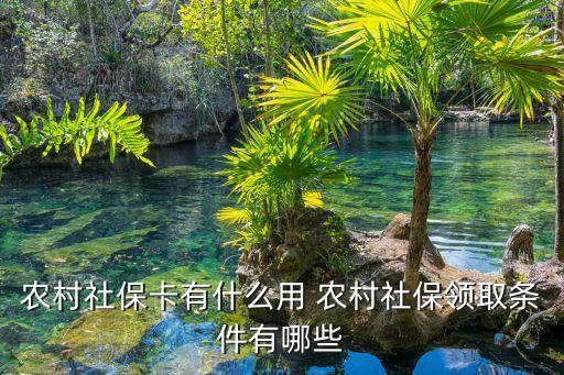 農(nóng)村社?？ㄓ惺裁从?農(nóng)村社保領(lǐng)取條件有哪些
