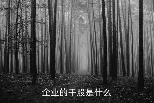 企業(yè)的干股是什么