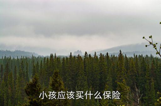 小孩應該買什么保險