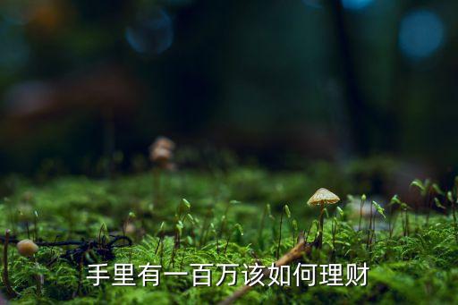 有一百萬做什么投資理財，如果有一百萬該怎么理財