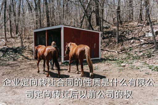 企業(yè)定向轉(zhuǎn)讓合同的性質(zhì)是什么有限公司定向轉(zhuǎn)讓后以前公司的權(quán)