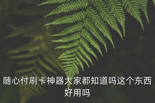 隨心付刷卡神器大家都知道嗎這個(gè)東西好用嗎