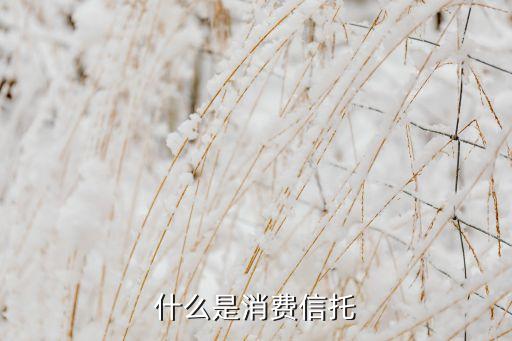 什么是消費(fèi)信托