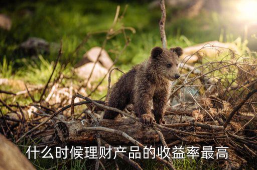 什么時候理財產(chǎn)品的收益率最高