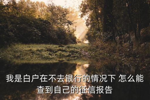 白戶買房查征信怎么查，我是白戶在不去銀行的情況下 怎么能查到自己的征信報(bào)告