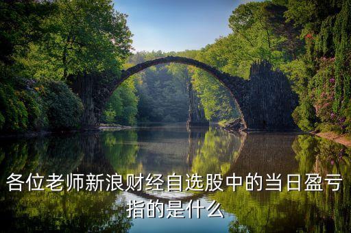 各位老師新浪財經(jīng)自選股中的當(dāng)日盈虧指的是什么