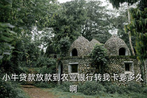 小牛分期什么時候到賬，小牛普惠簽約多久放款