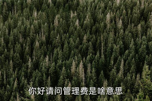 你好請(qǐng)問(wèn)管理費(fèi)是啥意思