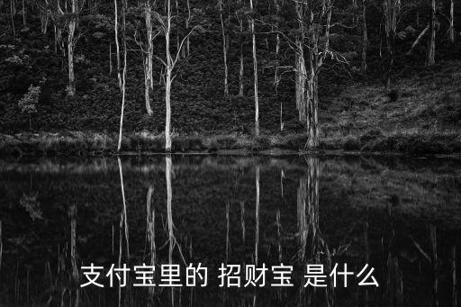 支付寶里的 招財(cái)寶 是什么