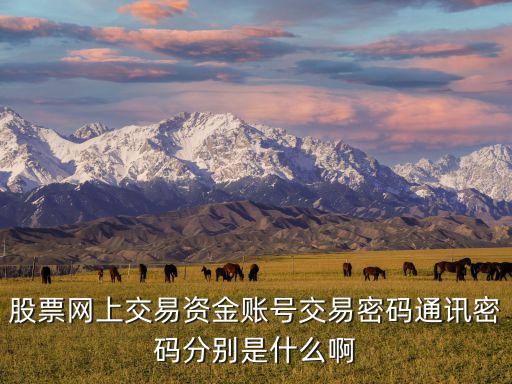 股票網(wǎng)上交易資金賬號(hào)交易密碼通訊密碼分別是什么啊