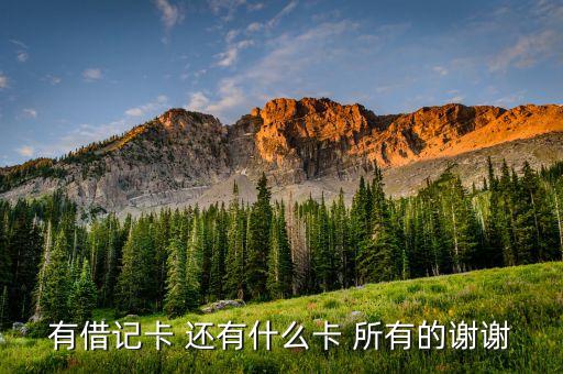 有借記卡 還有什么卡 所有的謝謝