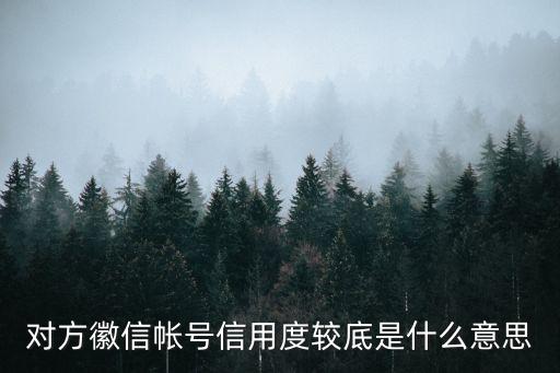 征信分?jǐn)?shù)底是什么意思，綜合信用評分不足是什么意思