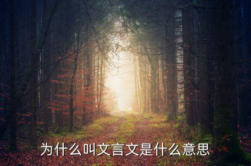 為什么叫文言文是什么意思