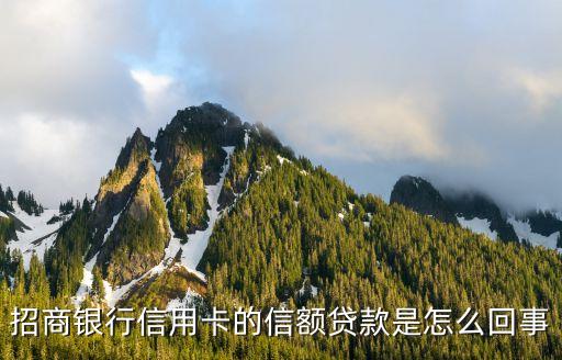 信用卡貸是怎么回事，信用卡借貸是什么意思