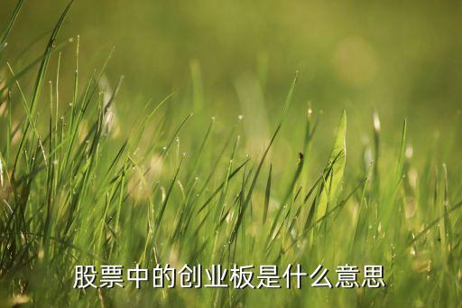 股票中的創(chuàng)業(yè)板是什么意思