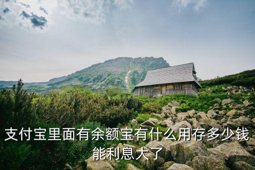 支付寶里面有余額寶有什么用存多少錢能利息大了