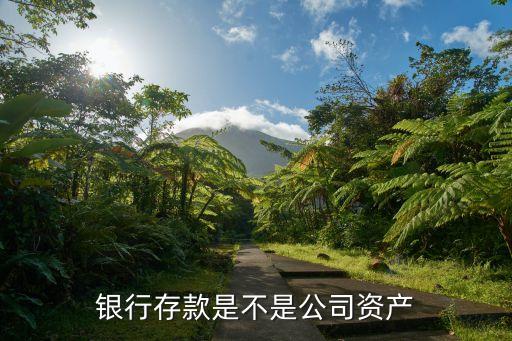 銀行存款屬于什么資產(chǎn)，銀行存款是不是公司資產(chǎn)