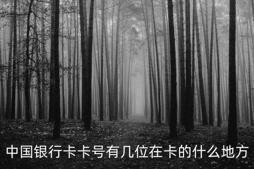 中國銀行卡號代表什么位置，中國銀行卡的帳號位于哪個部位我的卡上有兩行較多的