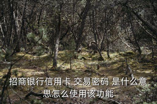招商銀行信用卡 交易密碼 是什么意思怎么使用該功能