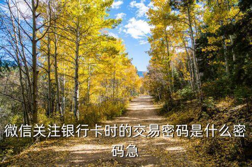 微信錢(qián)包用信用卡支付密碼是什么，微信錢(qián)包支付密碼是什么密碼