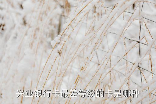 興業(yè)銀行卡最差等級的卡是哪種