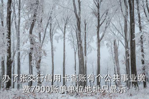 辦了張交行信用卡查賬有個公共事業(yè)繳費7900賬單單位地址只顯示