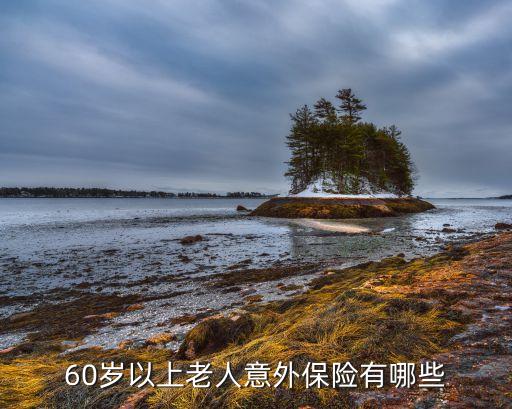 60歲以上老人意外保險有哪些