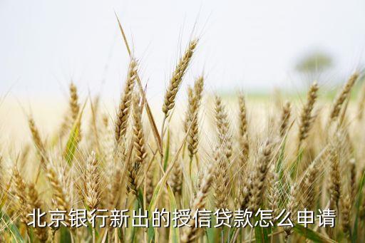 北京銀行新出的授信貸款怎么申請