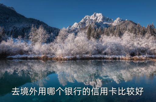 去境外用哪個銀行的信用卡比較好