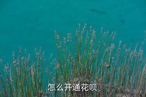 怎么開通花唄