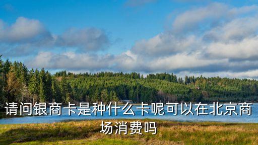 請問銀商卡是種什么卡呢可以在北京商場消費嗎