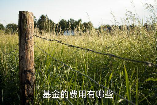 基金的費(fèi)用有哪些