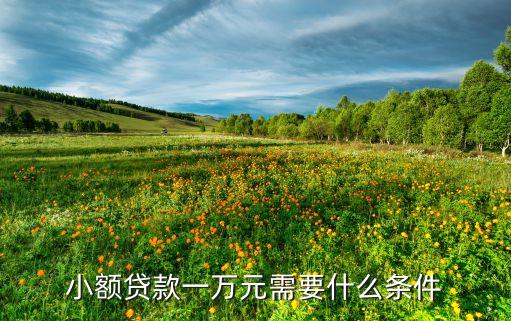小額貸款一萬元需要什么條件