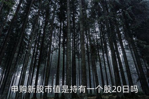 申購新股市值是持有一個股20日嗎