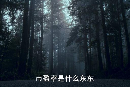 什么是市凈率，凈市率是什么