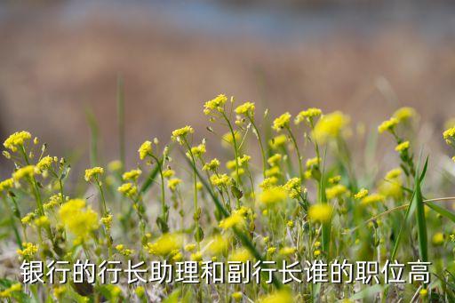工行副行長什么級別，工商銀行福建省分行副行長什么級別