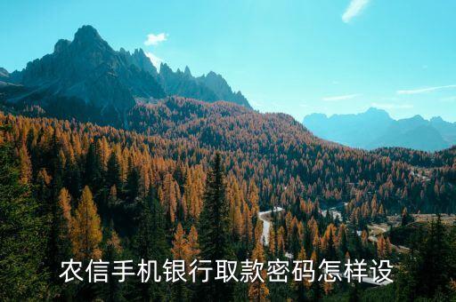 農(nóng)信手機(jī)銀行取款密碼怎樣設(shè)
