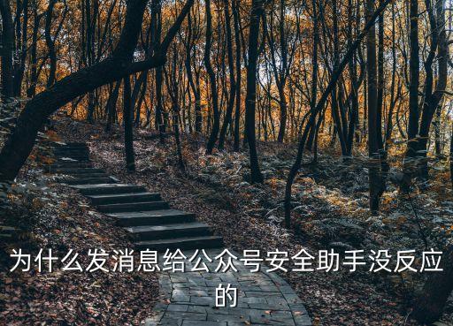為什么發(fā)消息給公眾號安全助手沒反應(yīng)的