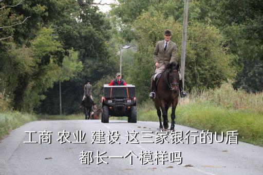 工商 農(nóng)業(yè) 建設(shè) 這三家銀行的U盾都長一個模樣嗎